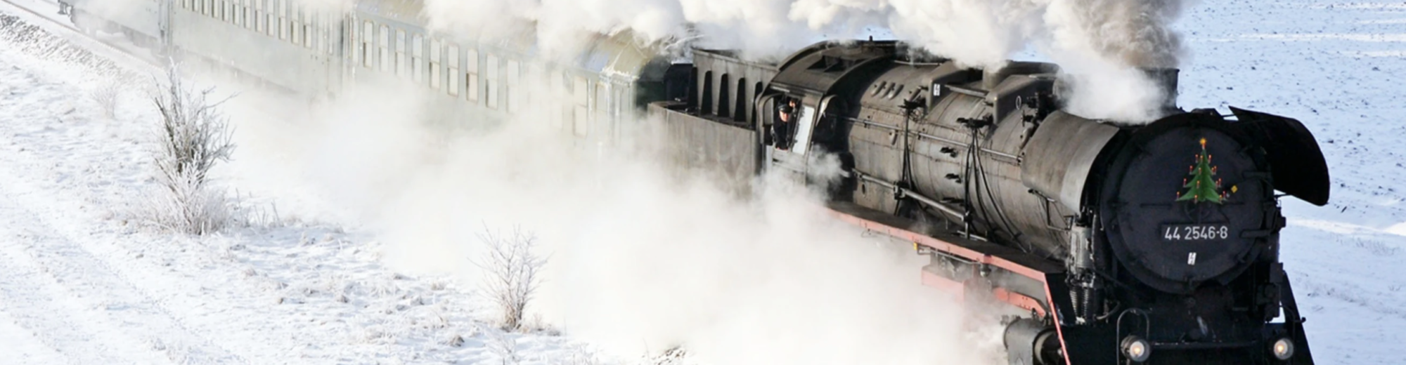 Better Survive Than Surrender